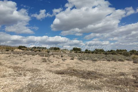Helårsgrund i Caudete, Albacete, Caudete - € 35.000 | Ref: SF0388 - foto 3